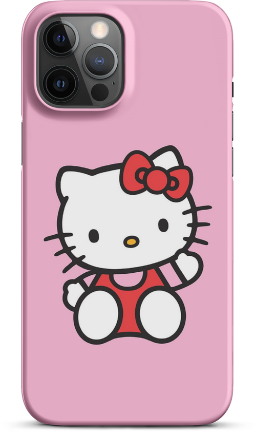 Hello Kitty on Pink Background for iPhone 12 pro max