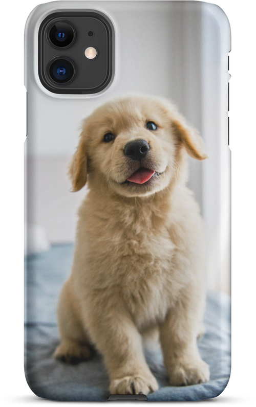 Golden Labrador Puppy on Bed for iPhone 11