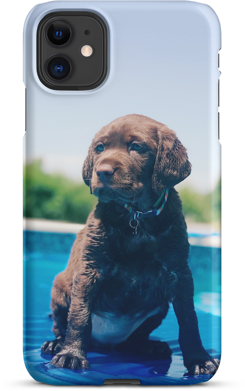 Chocolate Labrador Puppy by the Water for iPhone 11