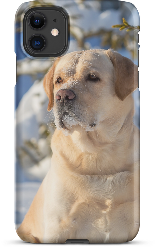 Labrador in Snow Staring into the Distance for iPhone 11