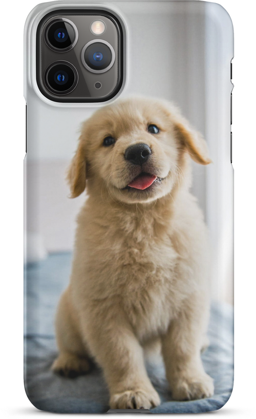 Golden Labrador Puppy on Bed for iPhone 11 pro