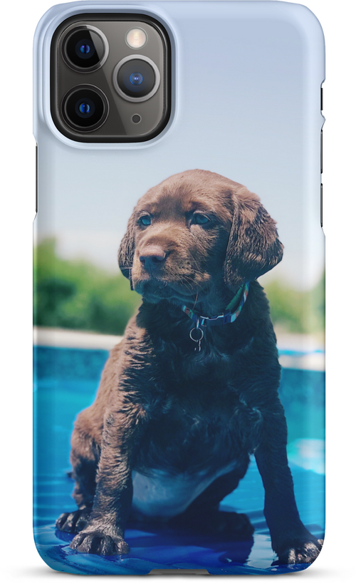 Chocolate Labrador Puppy by the Water for iPhone 11 pro