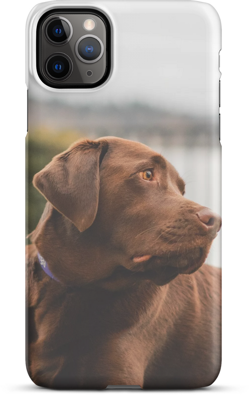 Brown Labrador by the Lake Shore for iPhone 11 pro max