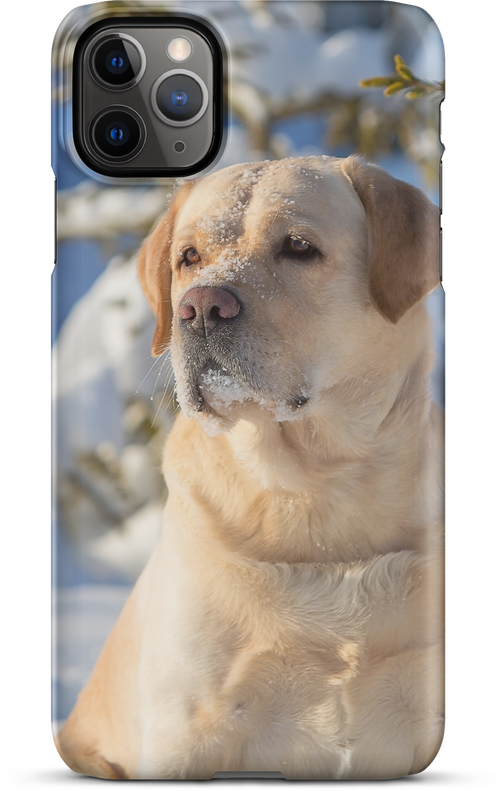 Labrador in Snow Staring into the Distance for iPhone 11 pro max