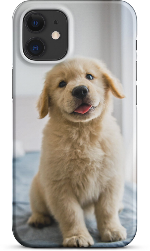 Golden Labrador Puppy on Bed for iPhone 12 mini