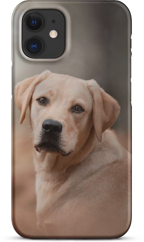 Labrador Retriever on Blurred Background for iPhone 12 mini