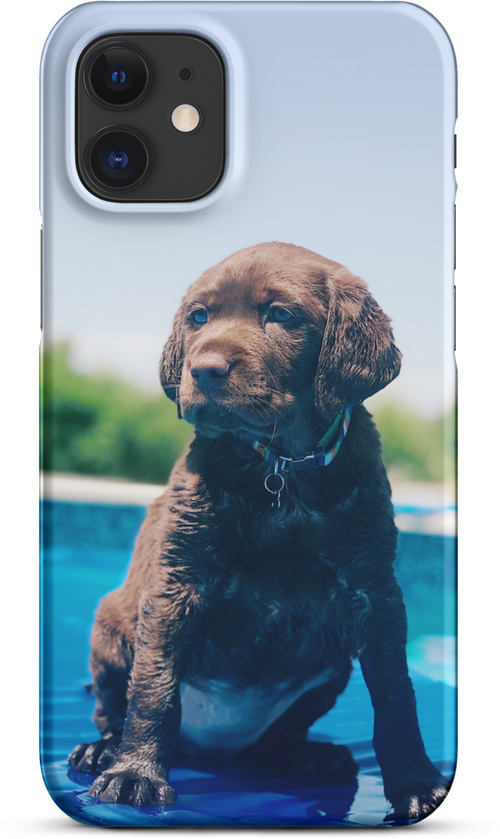 Chocolate Labrador Puppy by the Water for iPhone 12 mini