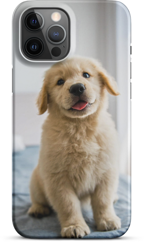 Golden Labrador Puppy on Bed for iPhone 12 pro max