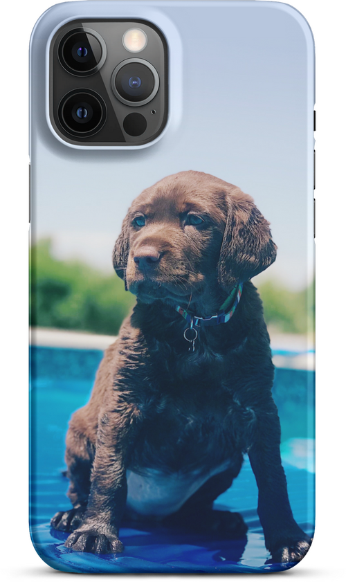 Chocolate Labrador Puppy by the Water for iPhone 12 pro max