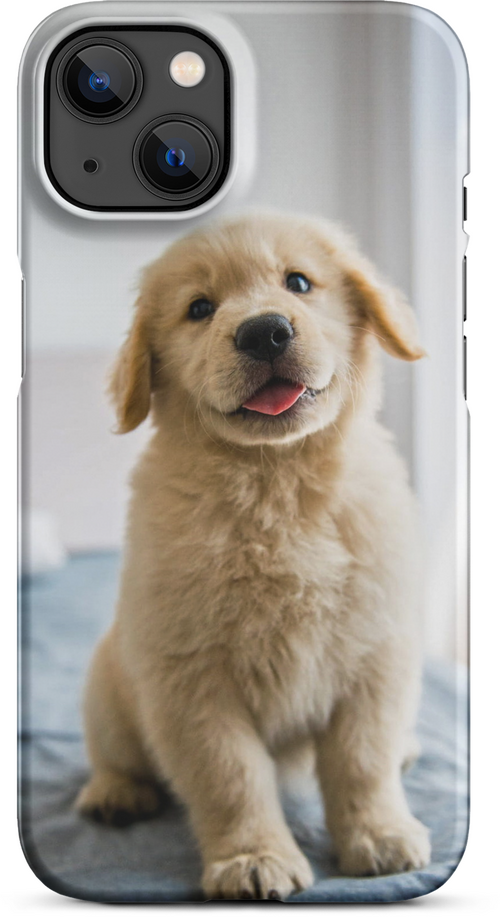 Golden Labrador Puppy on Bed for iPhone 13