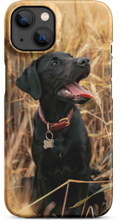 Black Labrador in Wheat Field for iPhone 13