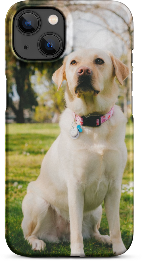 Labrador on Green Grass with Sun Rays for iPhone 13