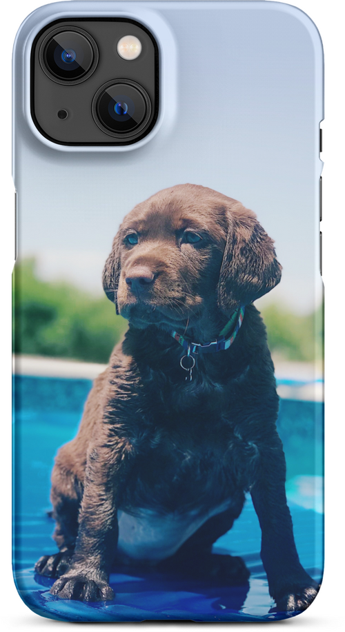 Chocolate Labrador Puppy by the Water for iPhone 13