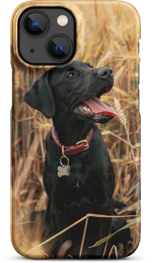 Black Labrador in Wheat Field for iPhone 13 mini