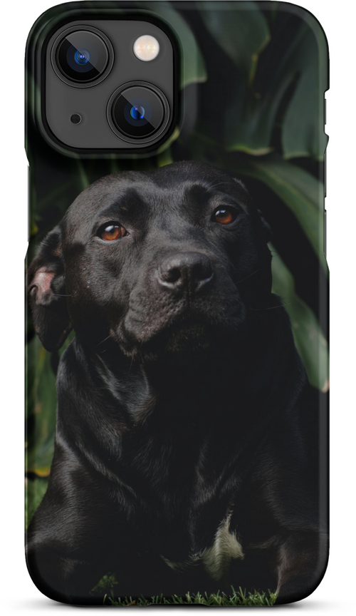 Black Labrador on Dark Green Background for iPhone 13 mini