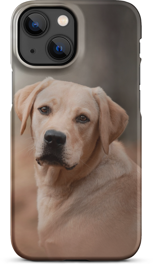 Labrador Retriever on Blurred Background for iPhone 13 mini