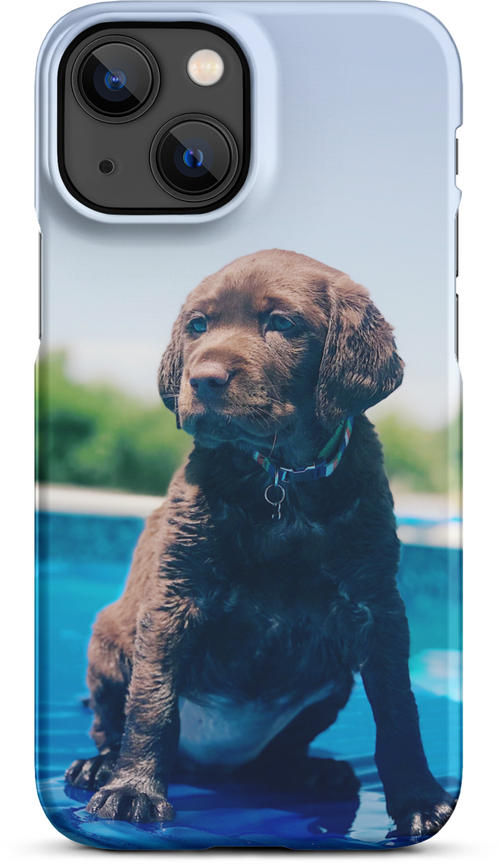 Chocolate Labrador Puppy by the Water for iPhone 13 mini