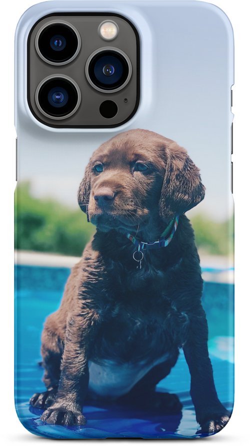 Chocolate Labrador Puppy by the Water for iPhone 13 pro