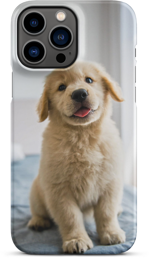 Golden Labrador Puppy on Bed for iPhone 13 pro max