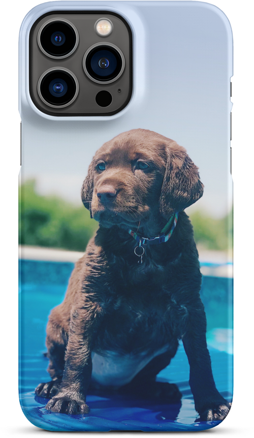 Chocolate Labrador Puppy by the Water for iPhone 13 pro max