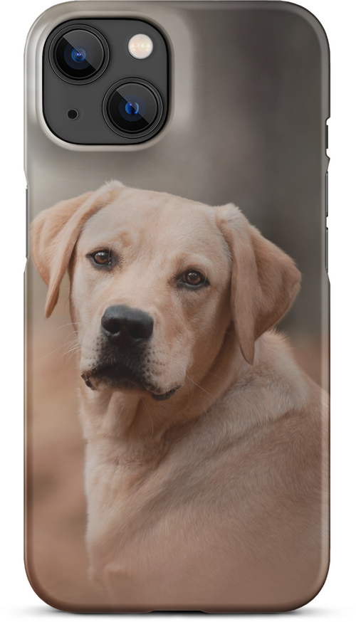 Labrador Retriever on Blurred Background for iPhone 14