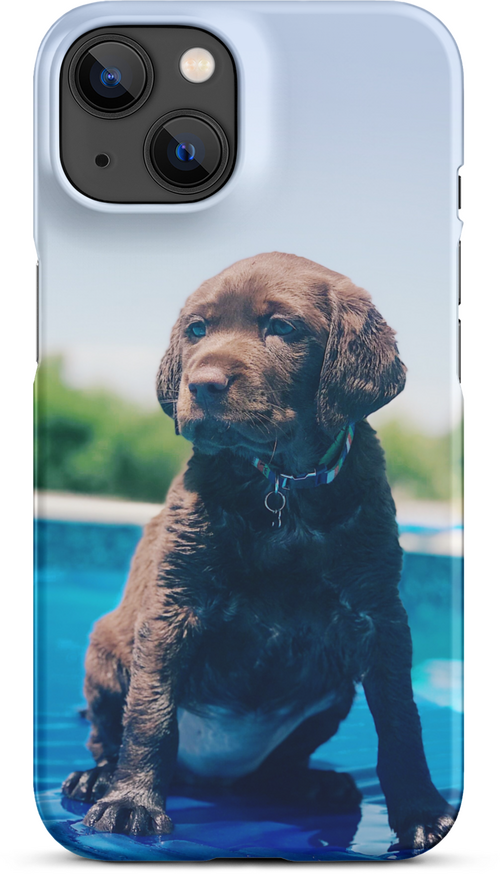 Chocolate Labrador Puppy by the Water for iPhone 14