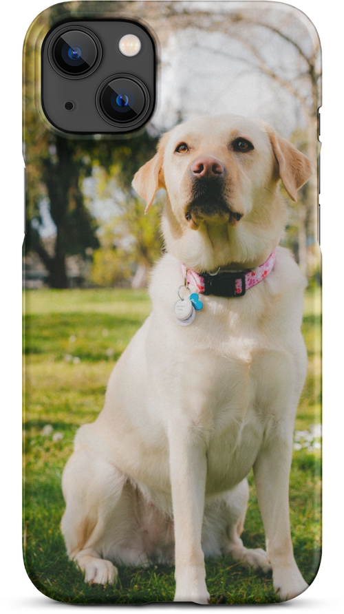 Labrador on Green Grass with Sun Rays for iPhone 14 plus