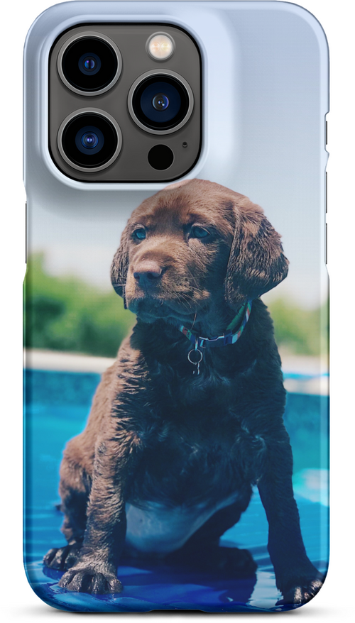 Chocolate Labrador Puppy by the Water for iPhone 14 pro