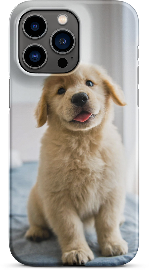 Golden Labrador Puppy on Bed for iPhone 14 pro max