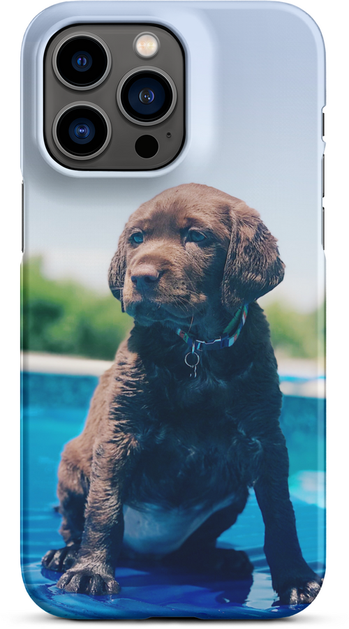 Chocolate Labrador Puppy by the Water for iPhone 14 pro max