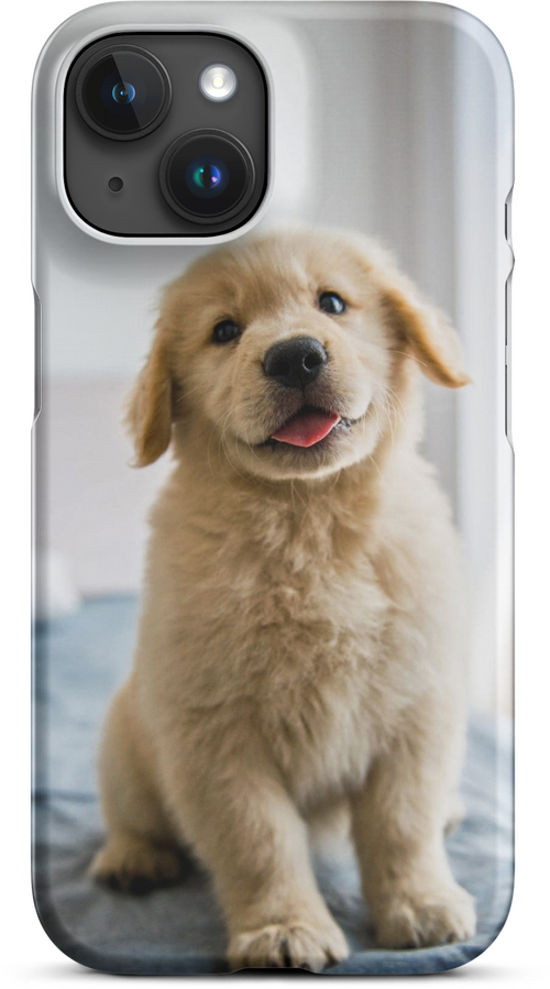 Golden Labrador Puppy on Bed for iPhone 15