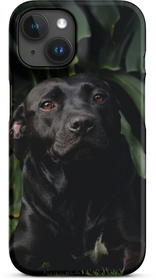 Black Labrador on Dark Green Background for iPhone 15