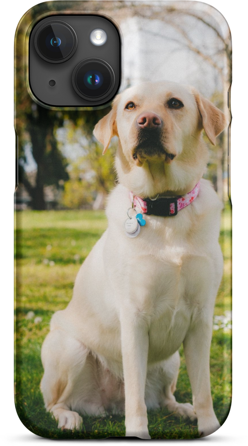 Labrador on Green Grass with Sun Rays for iPhone 15