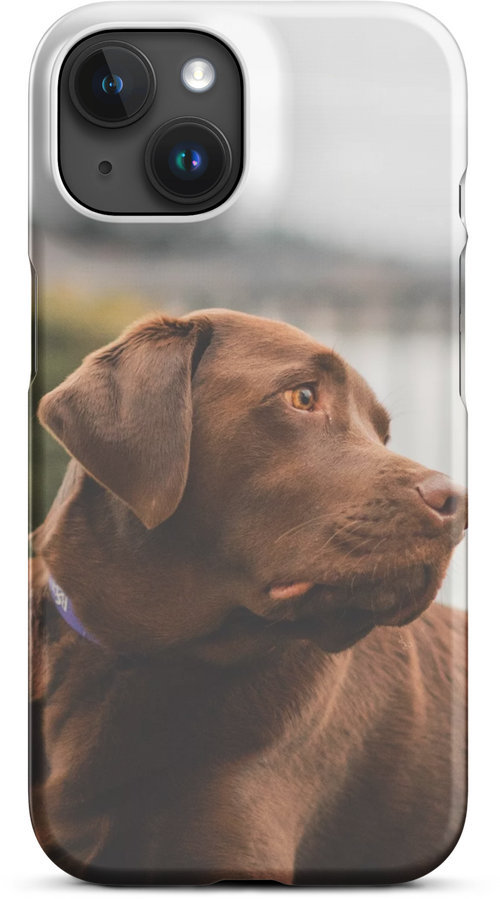 Brown Labrador by the Lake Shore for iPhone 15