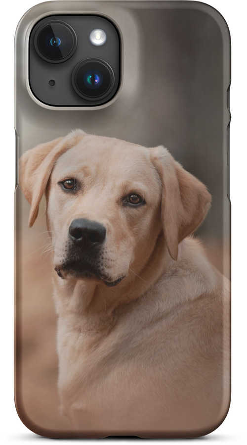 Labrador Retriever on Blurred Background for iPhone 15