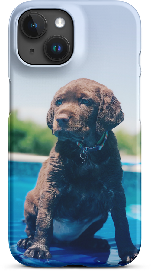 Chocolate Labrador Puppy by the Water for iPhone 15