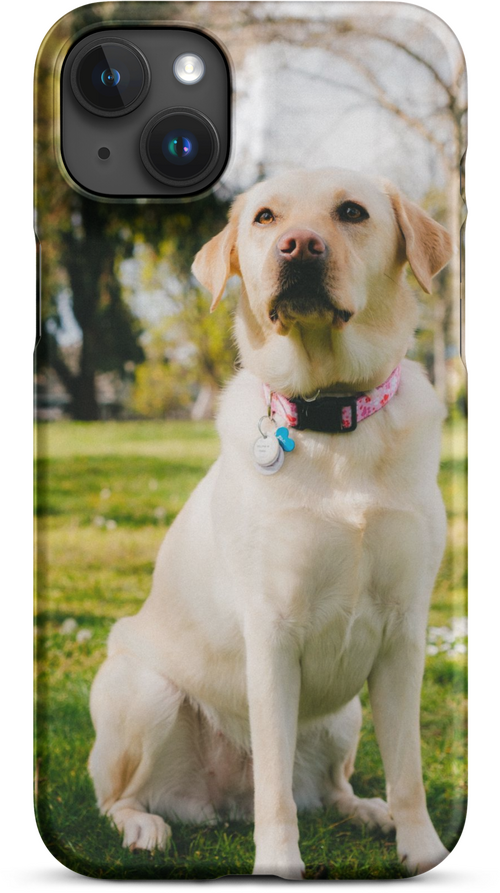 Labrador on Green Grass with Sun Rays for iPhone 15 plus