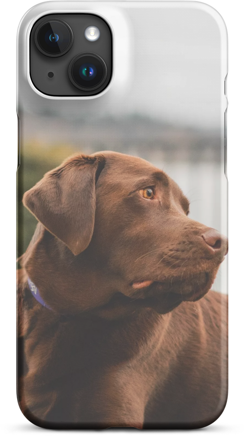 Brown Labrador by the Lake Shore for iPhone 15 plus