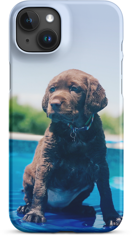 Chocolate Labrador Puppy by the Water for iPhone 15 plus