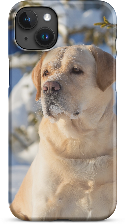 Labrador in Snow Staring into the Distance for iPhone 15 plus