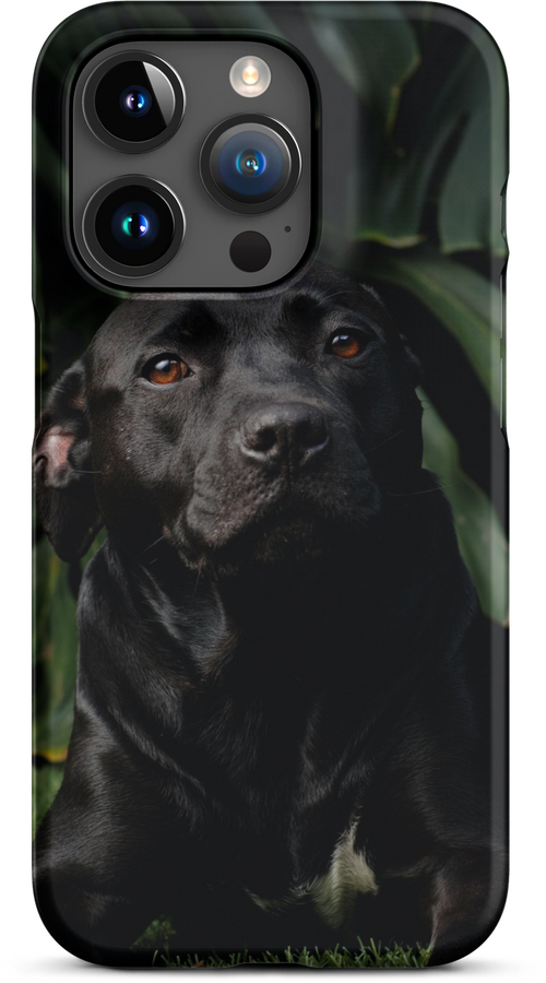 Black Labrador on Dark Green Background for iPhone 15 pro