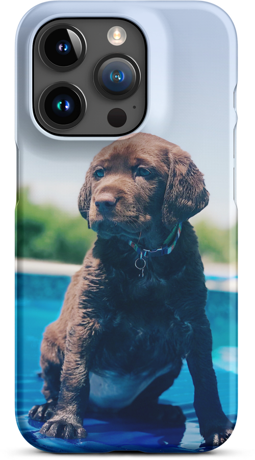 Chocolate Labrador Puppy by the Water for iPhone 15 pro