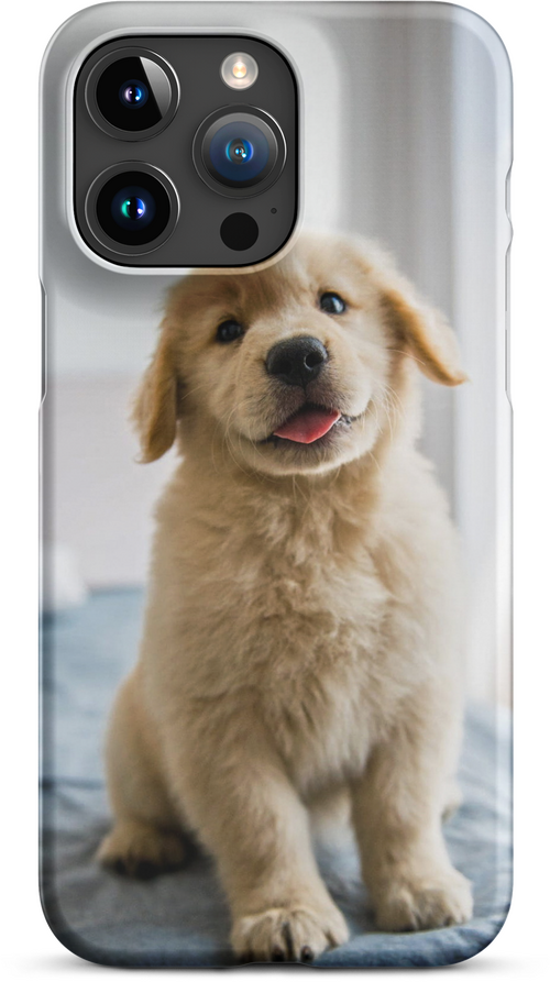 Golden Labrador Puppy on Bed for iPhone 15 pro max