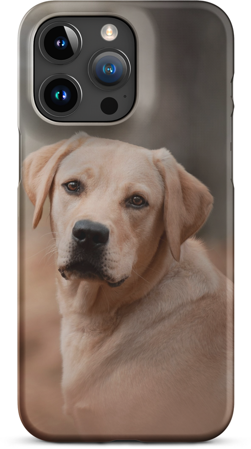 Labrador Retriever on Blurred Background for iPhone 15 pro max