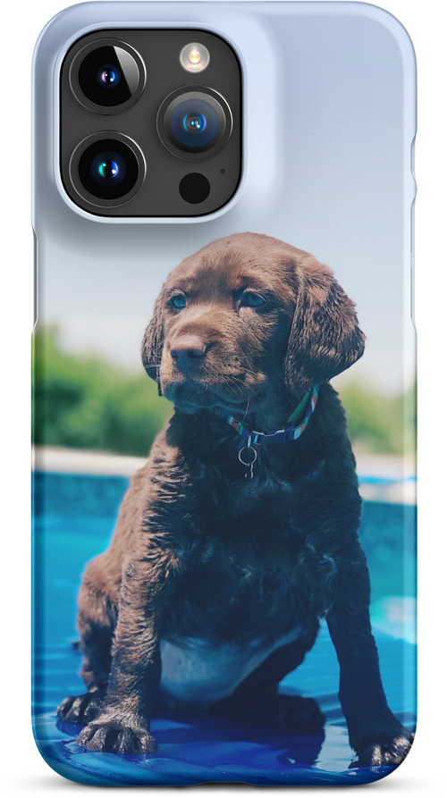 Chocolate Labrador Puppy by the Water for iPhone 15 pro max