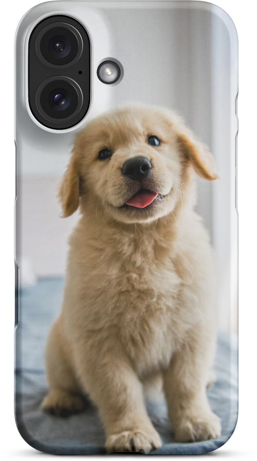 Golden Labrador Puppy on Bed for iPhone 16