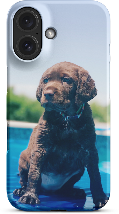 Chocolate Labrador Puppy by the Water for iPhone 16