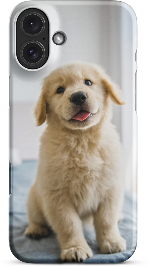 Golden Labrador Puppy on Bed for iPhone 16 plus