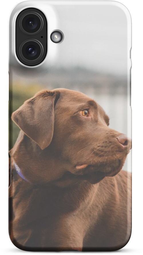 Brown Labrador by the Lake Shore for iPhone 16 plus