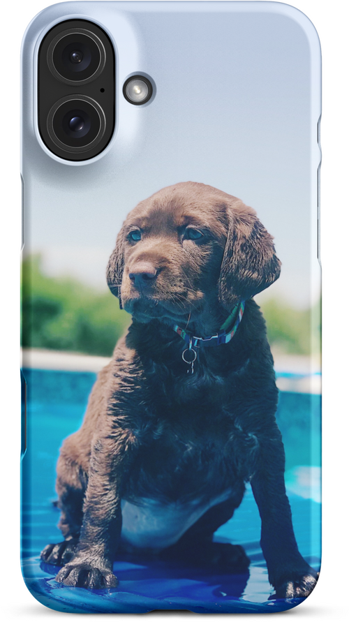 Chocolate Labrador Puppy by the Water for iPhone 16 plus